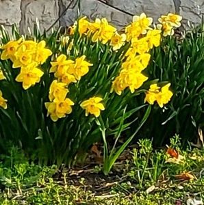 Meet your Posher, Patty